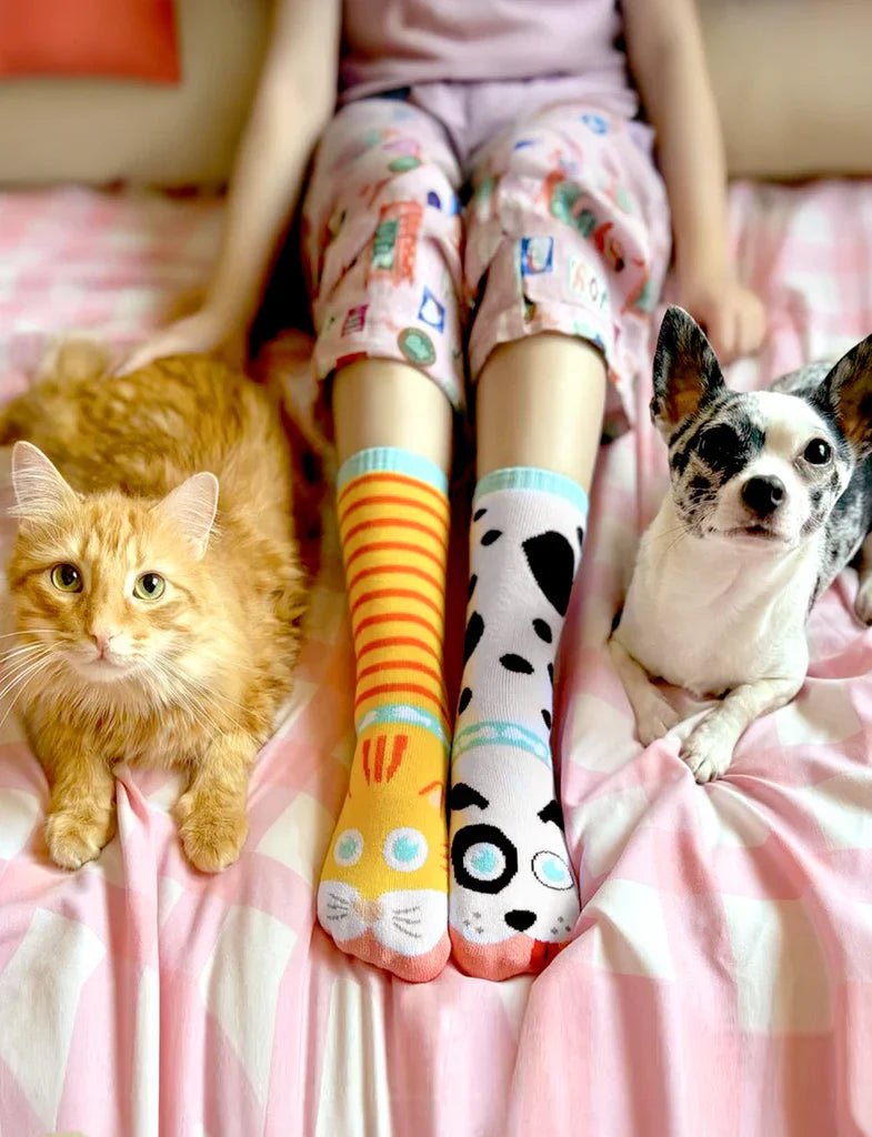 Cat & Dog | Teen & Adult Socks | Mismatched Cute Crazy Fun Socks