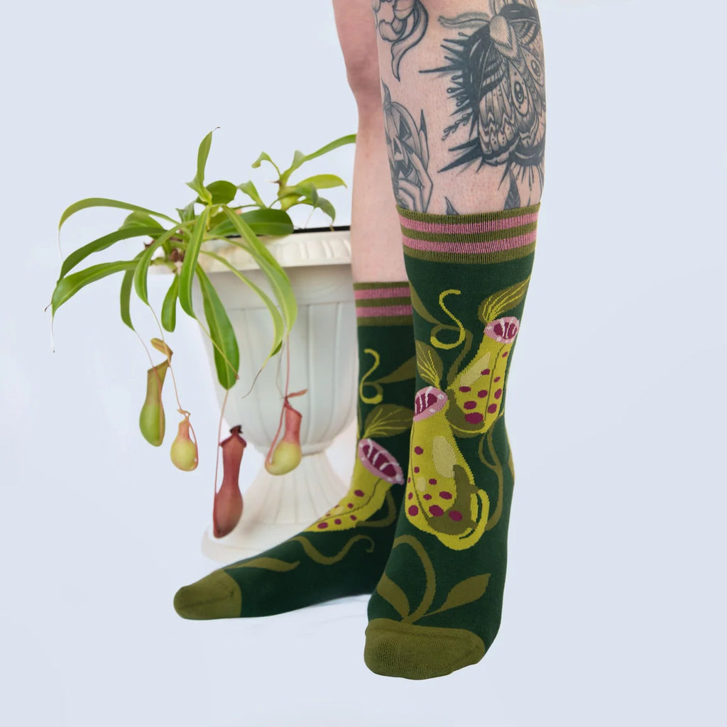 Pitcher Plant | Crew Socks